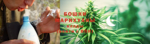 дмт Арсеньев
