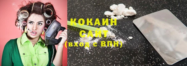 гашик Аркадак